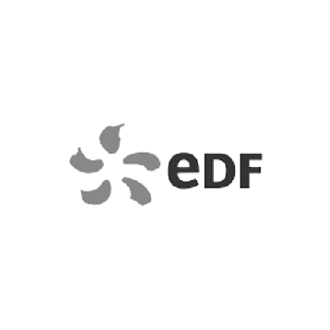 edf logo clients